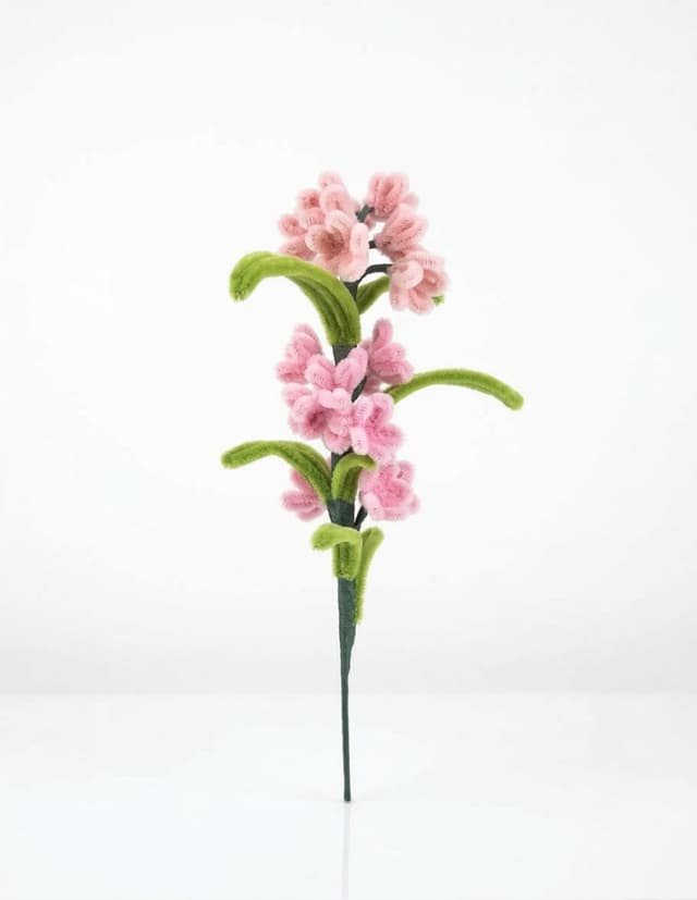 Meadow Bell Hyacinth